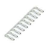Molex Female Connector Pin Set (10 Pack)